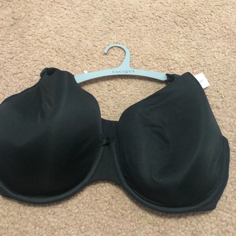 Lane Bryant Lingerie Line t-shirt bra